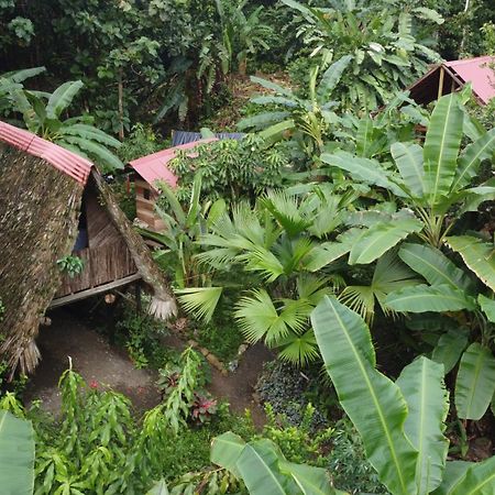 Hotel La Aldea Del Primitivo Nuquí Zewnętrze zdjęcie