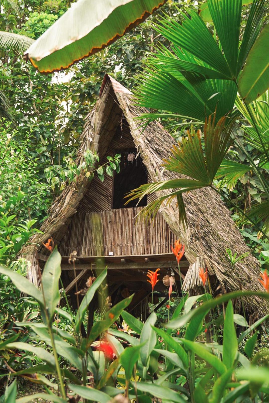 Hotel La Aldea Del Primitivo Nuquí Zewnętrze zdjęcie