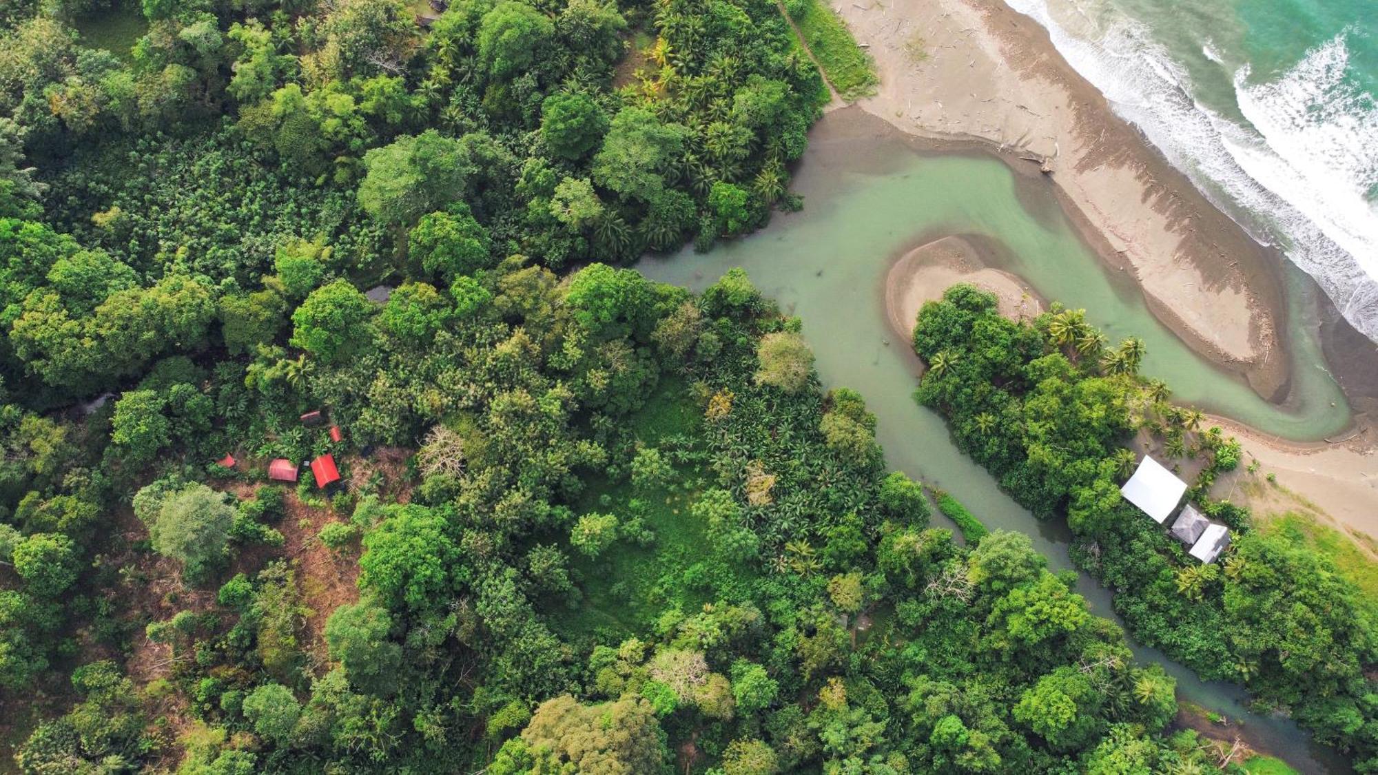 Hotel La Aldea Del Primitivo Nuquí Zewnętrze zdjęcie
