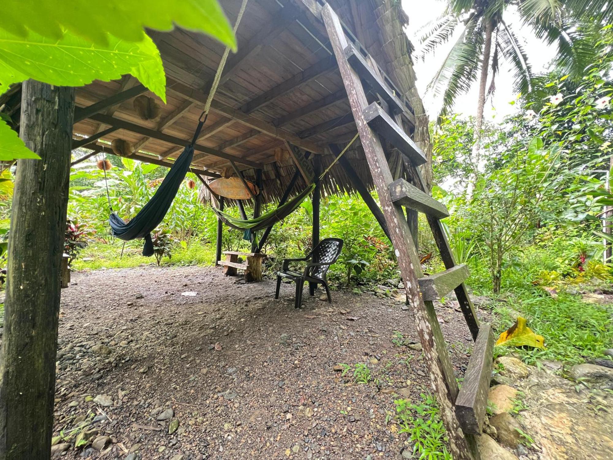 Hotel La Aldea Del Primitivo Nuquí Zewnętrze zdjęcie